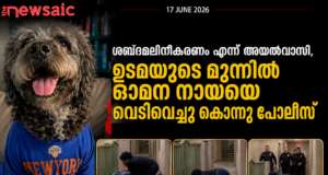 “അവൻ ഞങ്ങളുടെ കുടുംബാംഗമായിരുന്നു”; എൻബിഎ ആഘോഷത്തിനിടെ നായയെ വെടിവെച്ച് കൊന്ന് പൊലീസ്