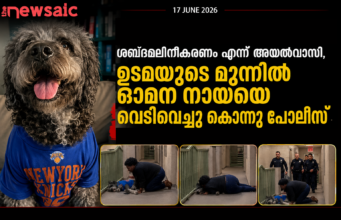 “അവൻ ഞങ്ങളുടെ കുടുംബാംഗമായിരുന്നു”; എൻബിഎ ആഘോഷത്തിനിടെ നായയെ വെടിവെച്ച് കൊന്ന് പൊലീസ്
